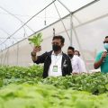 Urban Farming, Kanal Terapi Di Masa Pandemi