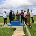 Kementan: Food Estate Sumba Tengah Jalan Keluar dari Penderitaan