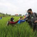 Mentan SYL Gulirkan Bantuan Integrated Farming Berbasis Korporasi di Boyolali