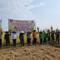 Kodim Pekalongan Sukses Panen Padi dengan Produktivitas Tinggi