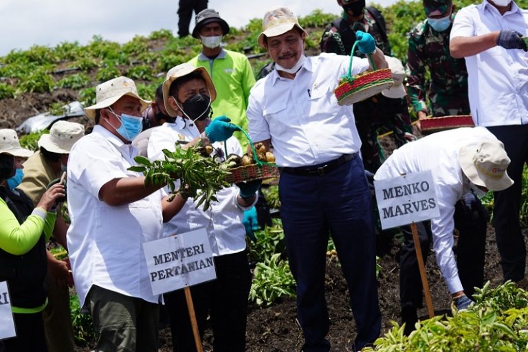 Luhut Binsar Pandjaitan - Syahrul Yasin Limpo -Food Estate1 - Keuanganonline.id