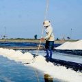 Kembali Impor Garam, Terbukti Pemerintah Tidak Bisa Manfaatkan Potensi Panjang Pantai Indonesia