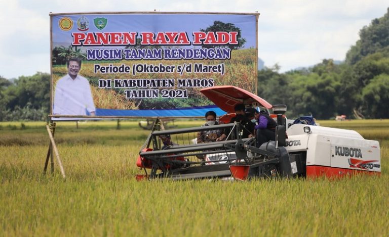 keuanganonline.id - Mentan Syahrul Yasin Limpo