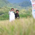 Optimis Bupati Maros dan Barru pada Panen Tahun Ini Memuaskan