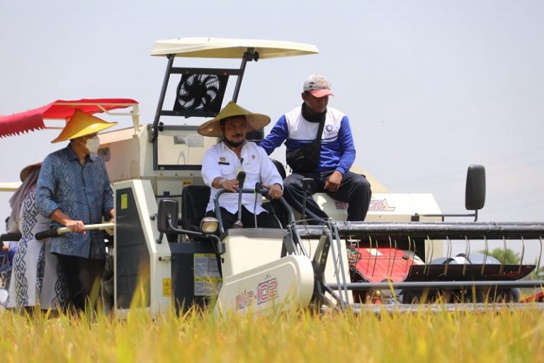 Menteri Pertanian Syahrul Yasin Limpo -Porang - Keuanganonline.id