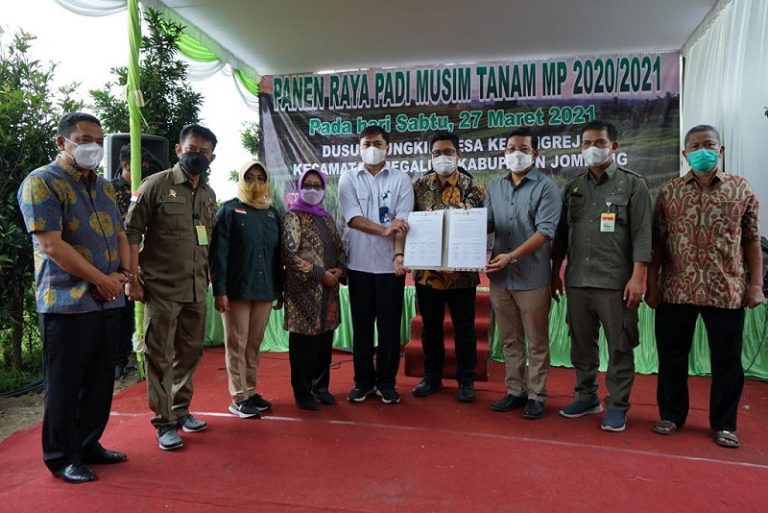 Menteri Pertanian Syahrul Yasin Limpo - Keuanganonline