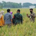 Dukung Program Kementan, Sumenep Manfaatkan Potensi Areal Tanam Baru di Kepulauan