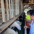 Jamkrindo Perkuat Usaha Rakyat di Masa Pandemi