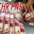 Pemerintah Anggarkan THR PNS Rp45.4 Triliun Akan Cair H-10 Lebaran