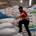 Jaga Strategi Produksi dan Pengendalian Pangan, Kementan Monitoring Komoditas Pertanian Harian