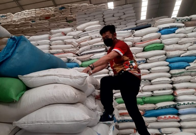 Menteri Pertanian Syahrul Yasin Limpo - keuanganonline.id