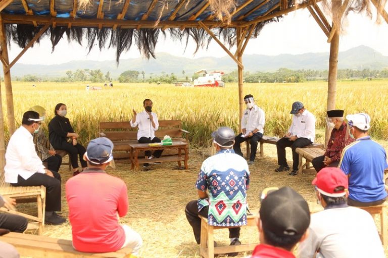 Presiden RI Jokowi bersama Ketua DPR RI, Puan Maharani meninjau lokasi panen raya padi di Kabupaten Malang, Jawa Timur