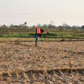 Kementan Genjot Potensi Lahan Sawah Tadah Hujan di Blora