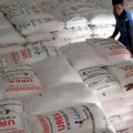 PISPI Banten Dorong Penggunaan Pupuk Organik Untuk Pertanian Berkelanjutan