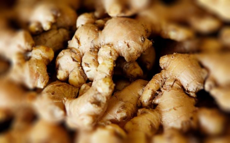 Neraca Jahe dalam negeri - keuanganonline