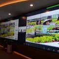 Gerakan P2L, Konsep Microgreen Cocok Untuk Budidaya Edible Flowers