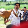 Menteri Pertanian, Syahrul Yasin Limpo