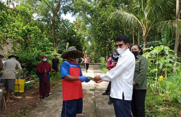 Direktur Perlindungan Tanaman Pangan
