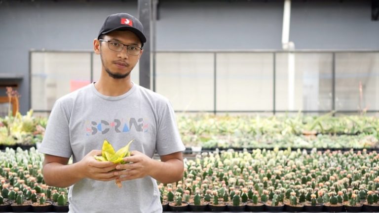 Aldy Ridwan