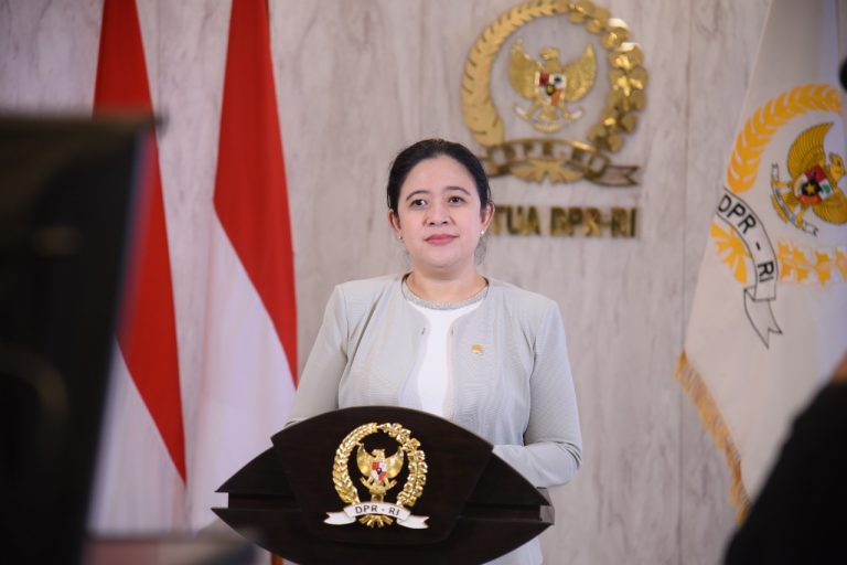 Ketua DPR RI, Puan Maharani/ISTIMEWA