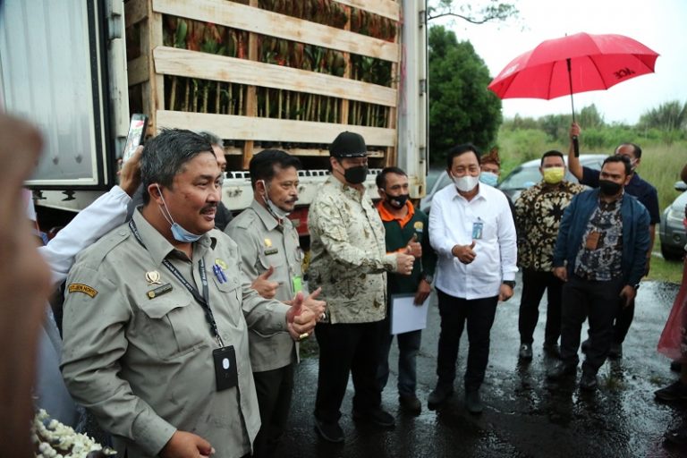 Menteri Pertanian Syahrul Yasin Limpo (Mentan SYL) bersama Menteri Koordinator (Menko) Perekonomian, Airlangga Hartarto mengunjungi Balai Penelitian Ternak, Ciawi, Bogor, Kamis (6/4/2021).mage 2021-05-06 at 18.43.43