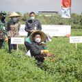 Kementan Siap Gelar Pelatihan Bagi Petani dan Penyuluh Untuk Tingkatkan Produktivitas Pertanian
