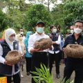 Penuhi 20 Persen Lebih Kebutuhan Porang Dunia, Teknologi Pangan Harus Dikembangkan