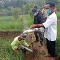 Amankan Produksi Padi, Kementan Lakukan Gerdal Tikus Secara Alami di Sukoharjo