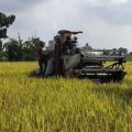 Ekonomi Indonesia Triwulan 2 - 2021 Melesat 7.07 Persen, Pertanian Tumbuh Konsisten