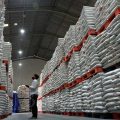Kementan Pastikan Ketersediaan Beras Aman