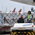 Sebanyak 3 Juta Vaksin Moderna dari COVAX Tiba di Tanah Air