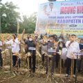 Panen Jagung di Bone, Mentan: Tingkatkan Produktivitas dan Kesejahteraan Petani