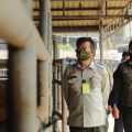 Mentan Syahrul dan Bima Arya Dorong Panitia Kurban Terapkan Prokes dan Kedepankan Kesehatan Hewan