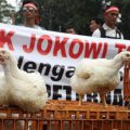 Berbagai Kalangan Sayangkan Gugatan Peternak Pada Pemerintah