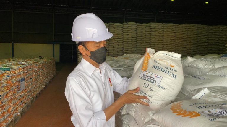 Presiden Joko Widodo mengunjungi Kompleks Pergudangan Bulog yang di Kelapa Gading (21/7). (Foto: BPMI Setpres)