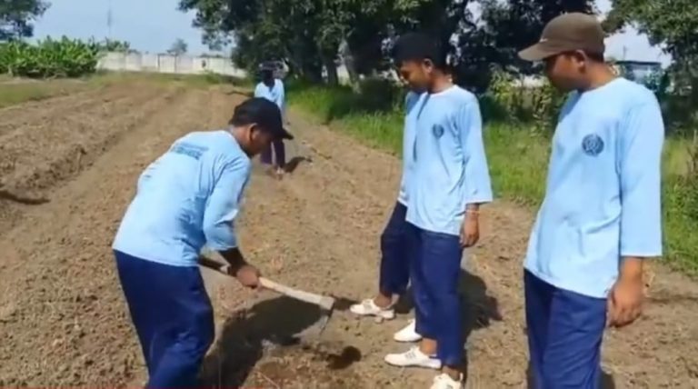 Tahanan Lapas Tanam di Kebun Lapas Kendal