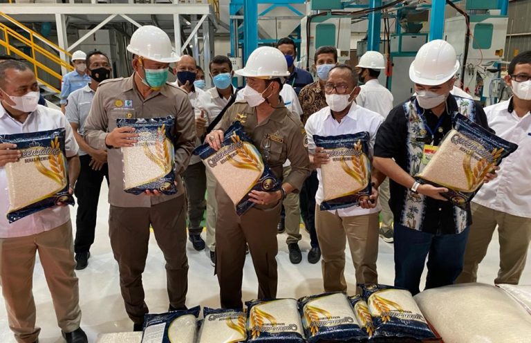 Menteri Pertanian Syahrul Yasin Limpo
