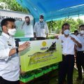 Mentan Syahrul Serahkan Bantuan Pisang dan Program Pertanian di Jeneponto