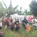 Petani Bawang Merah TTS