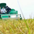Cek Langsung ke Persawahan di Jabar, Mentan Pastikan Panen Terus Berlangsung