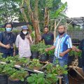 PT Jamkrindo Gandeng Salarea Foundation Siapkan Program Rumah Semai