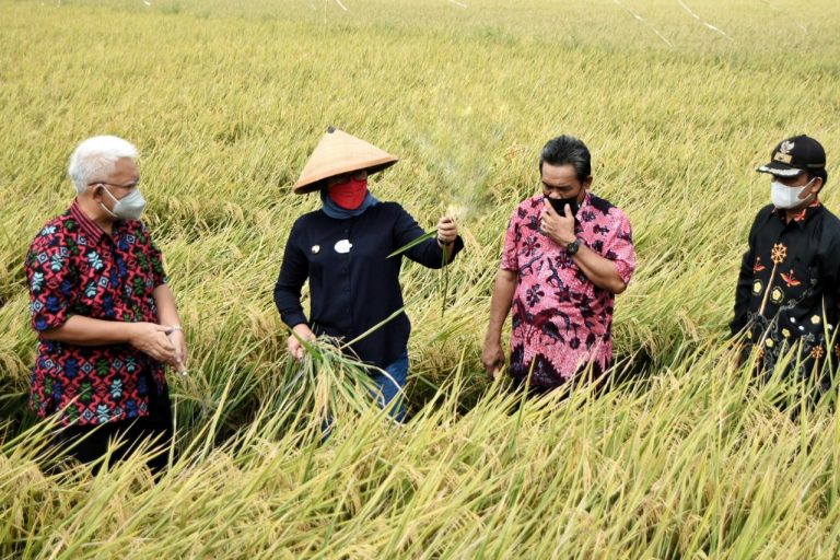 Bupati Indramayu
