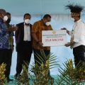 Mentan Syahrul Dorong Papua Cetak SDM Pertanian Muda Unggul