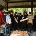 Mentan Syahrul Dorong Hutan Sagu Papua Barat Menjadi Lahan Agrowisata