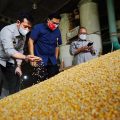 Tepis Isu Jagung Langka, Mentan Cek Stok Jagung Pabrik Pakan di Banten