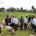 Mentan Syahrul Tinjau Langsung Panen Cempe di Kaltara