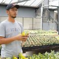 Bertani Itu Hebat, Menjadi Petani Itu Keren