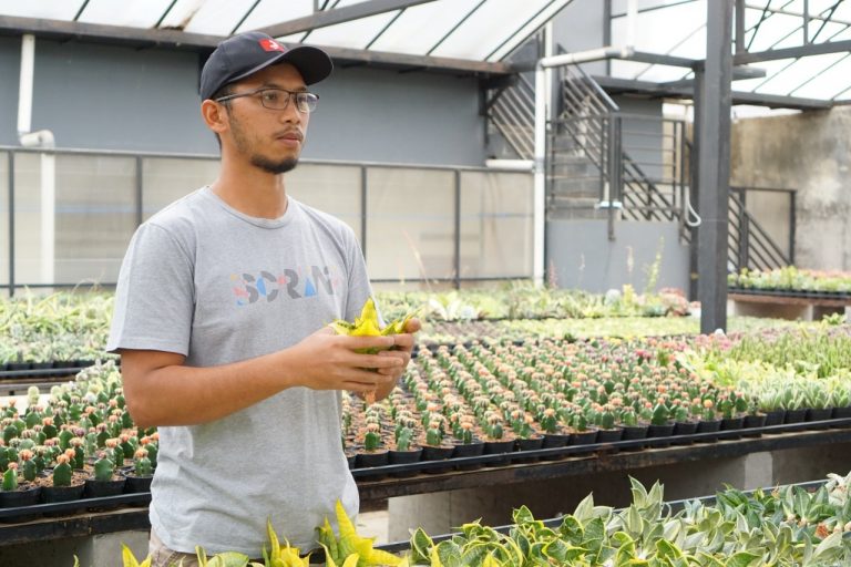 Petani Millenial