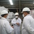 Mentan Syahrul Pastikan Pasokan Jagung Ke Perusahaan Pakan Normal