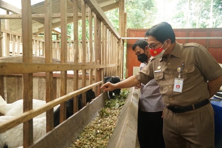 Saroji, ketua Gapoktan Tri Manunggal saat menerima kunjungan kerja Plt. Kepala BKP Sarwo Edhy, Selasa (28/09/2021).